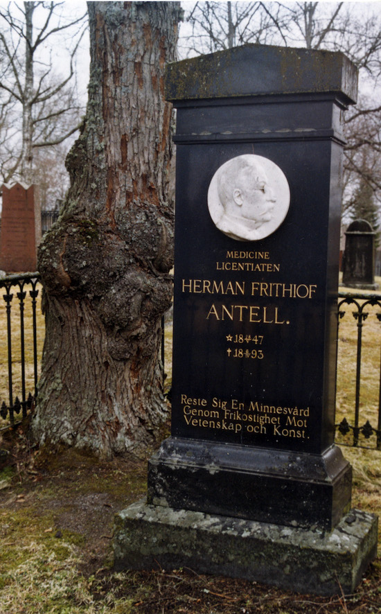 Herman Antell (Gamla Vasa begravningsplats)