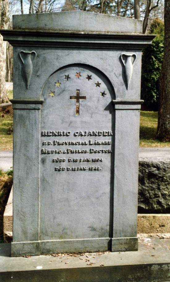 Henric Cajander (Åbo, Skansen V 2-4-1-11)